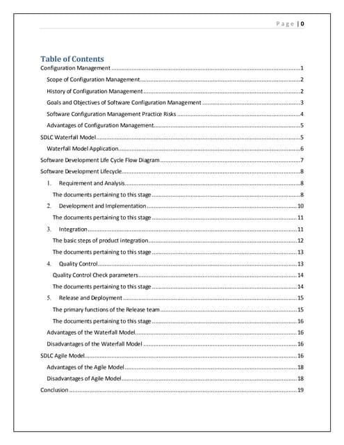 Configuration Management Report