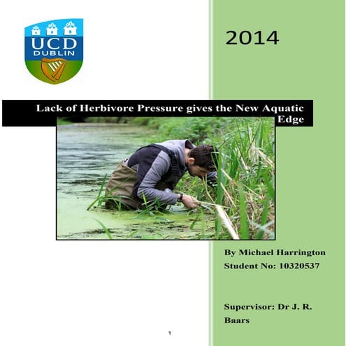 Final Thesis Body Completed doc