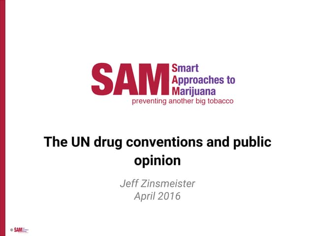 Cannabis Science & Police Summit - Day 1 - Zinsmeister
