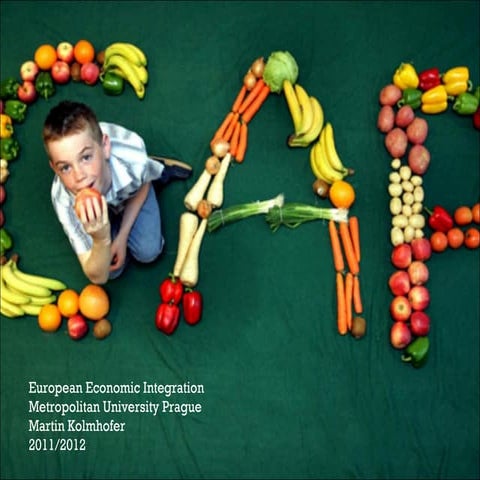 European Common Agricultural Policy