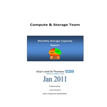 Monthly Stroage Capacity Report_JAN2011_final