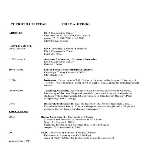 CV - DSH | PDF