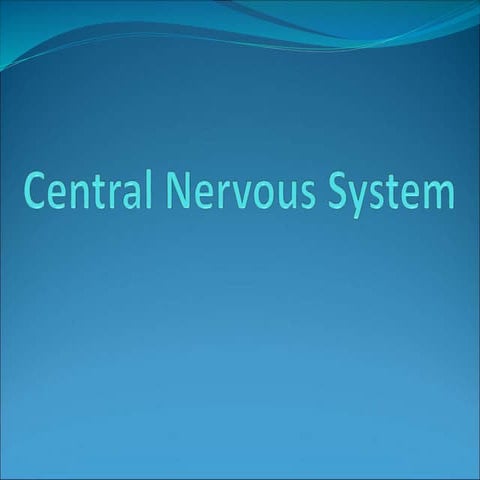 3 central nervous system   brain