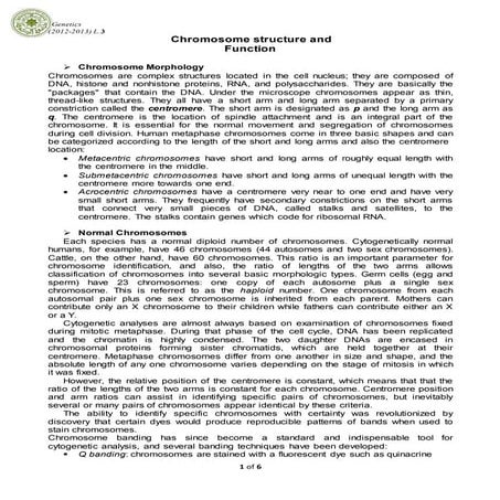 chromosome structure and function