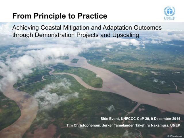 From Principle to Practice: Achieving Coastal Mitigation and Adaptation Outcomes through Demonstration Projects and Upscaling 