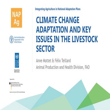 Climate change adaptation and key issues in the livestock sector