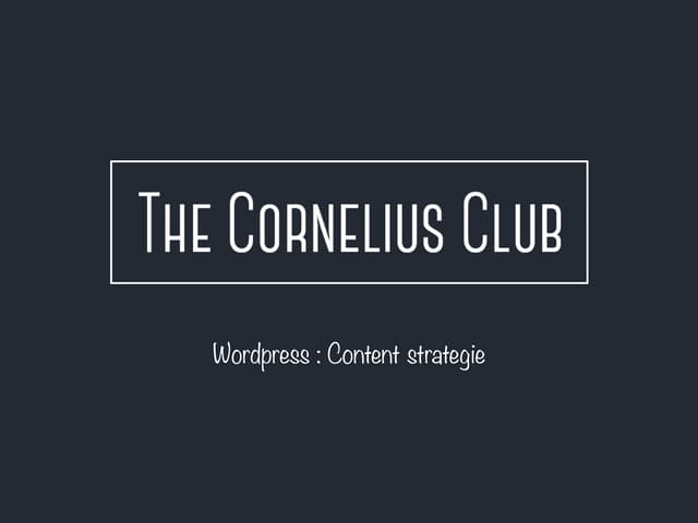 Wordpress #3 : content strategie