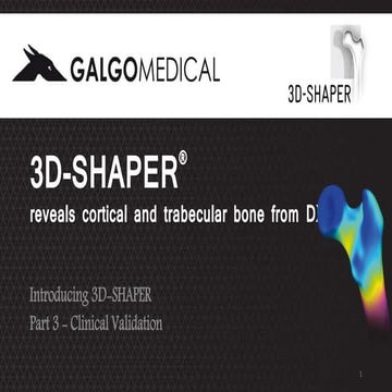 3D-DXA Technology - 3D-SHAPER(r) Software: clinical application