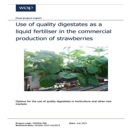 Strawberry Report Final