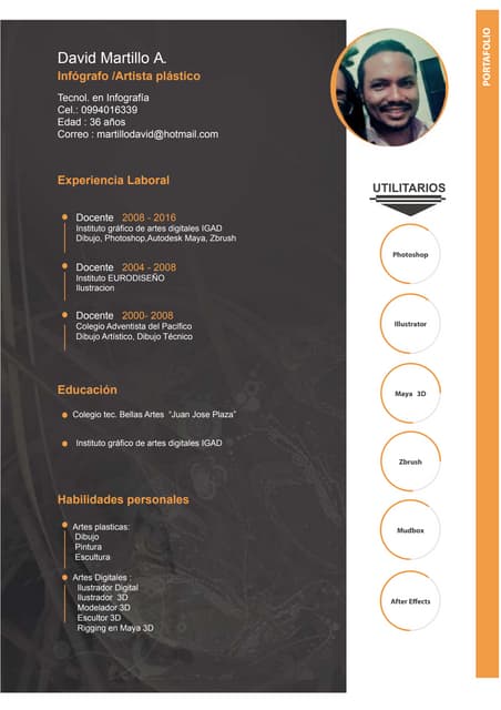 portafolio david martillo