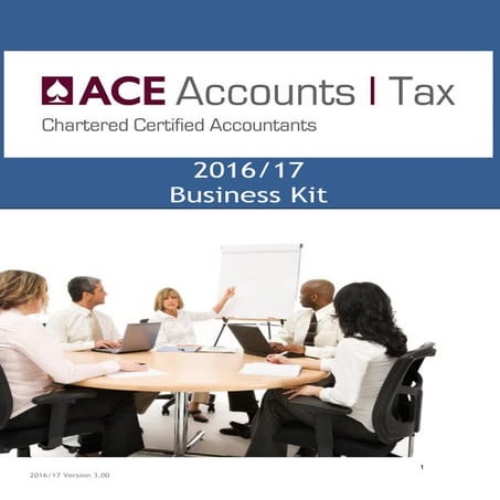 ACE accounts-miniguide v1 | PDF