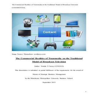 The Commercial Realities of Transme...