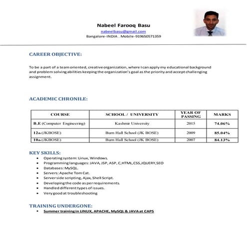CV Salim 2015 | DOCX