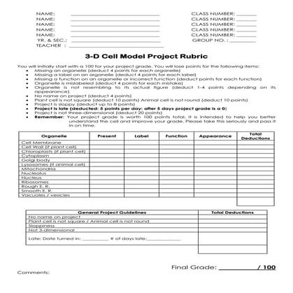 3D Cell Model Rubric