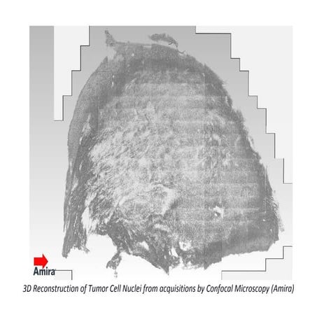 Point Cloud Segmentation for 3D Reconstruction | PDF