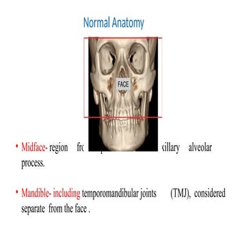 Anatomy and image interpretation of facial bone | PPTX