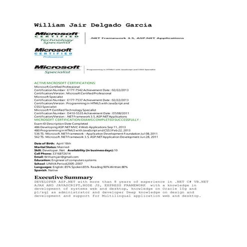 Resume William Jair Delgado Garcia