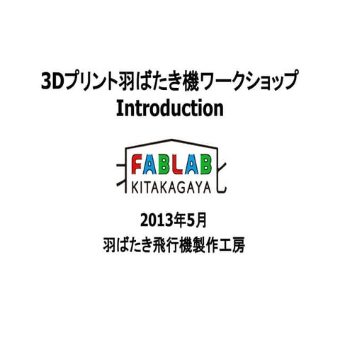 3Dプリント羽ばたき飛行機製作ワークショップ