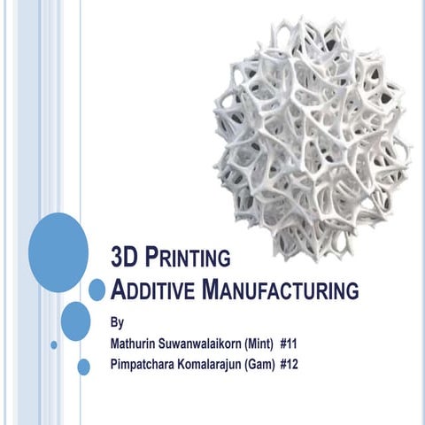 Computer project (Disruptive technology 3D printing)