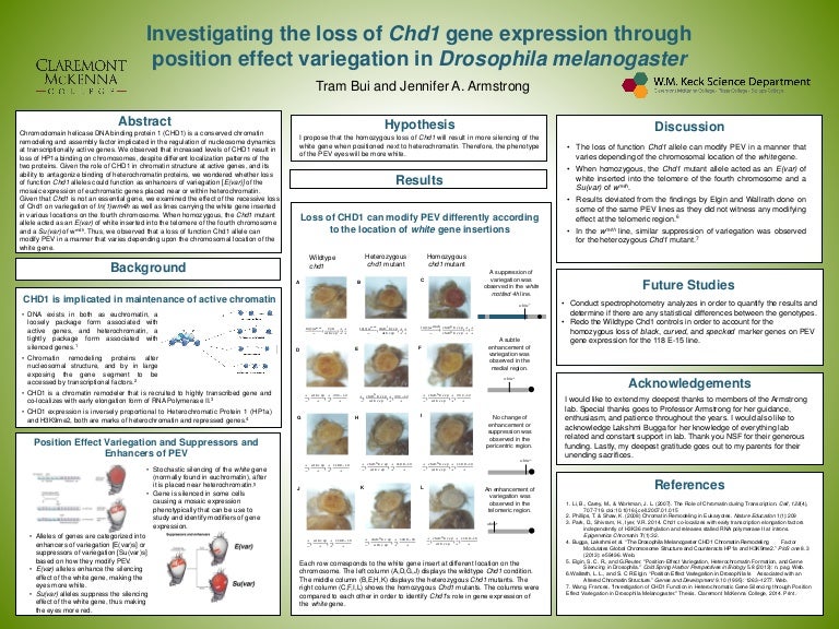 Tram thesis 05 image