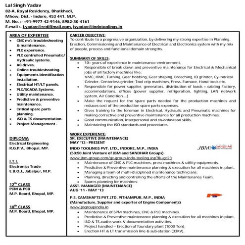 MY NEW CV | PDF