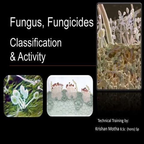 Technical training Fungus and Fungicides PPT-Lankem
