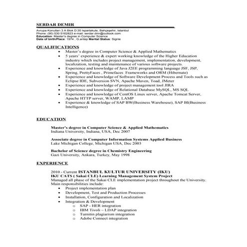 CV_Serdar_Demir_eng