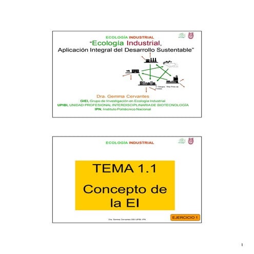 3 ecologia industrial 2013