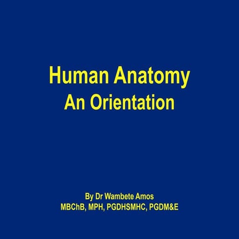 3ef0eca9-2f64-495a-9896-07ac3de6067a (1).pdf
