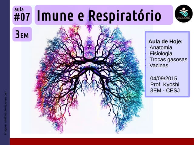 3EM #07 Sistema Respiratório