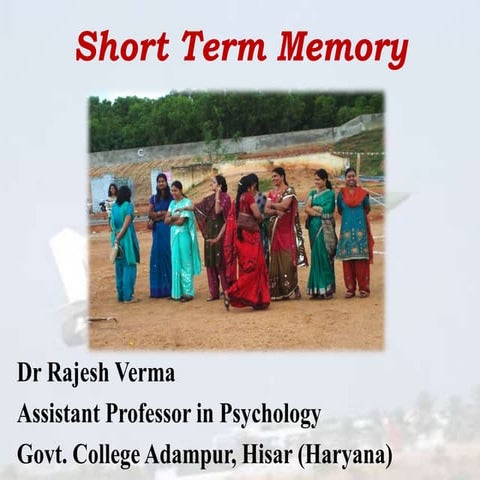 short term memory (STM)