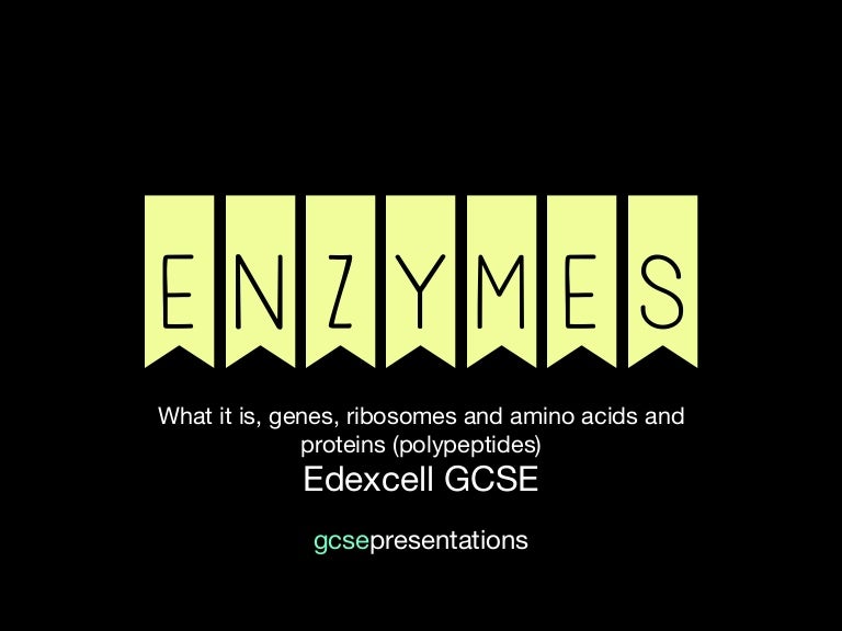 Edexcel GCSE Biology 3) enzymes