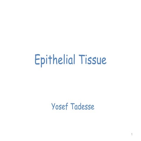 Histology of epitlial tissue of skin and