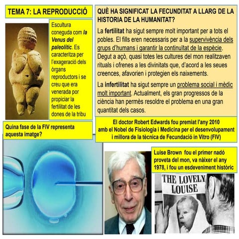 3ESO bio humana-T7. APARELLS REPRODUCTORS.pdf