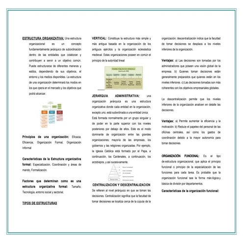 3 expo triptico estruct. organizativas