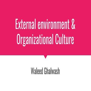 (3) External environment and organizational culture