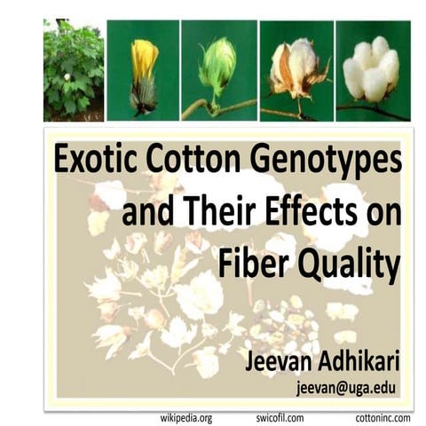 Cotton breeding | PPTX
