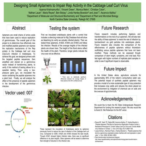 Aptamer presentation version 4