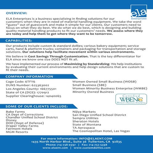 Capability Statement Flyer 2015 | PDF
