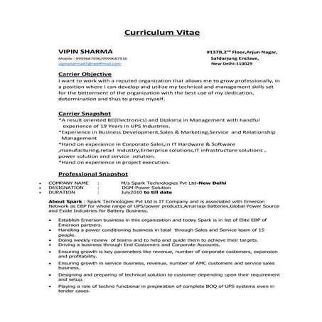 CV Final | PDF