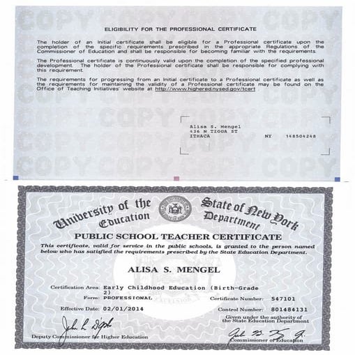 NYS EDUCATION LICENSE LOOKUP visual data 5