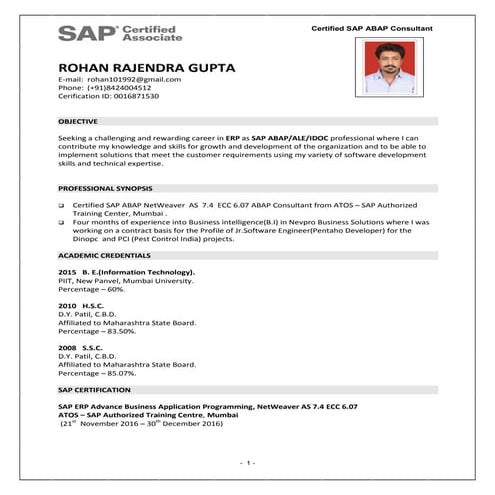 Rohan_ABAP_CV | PDF