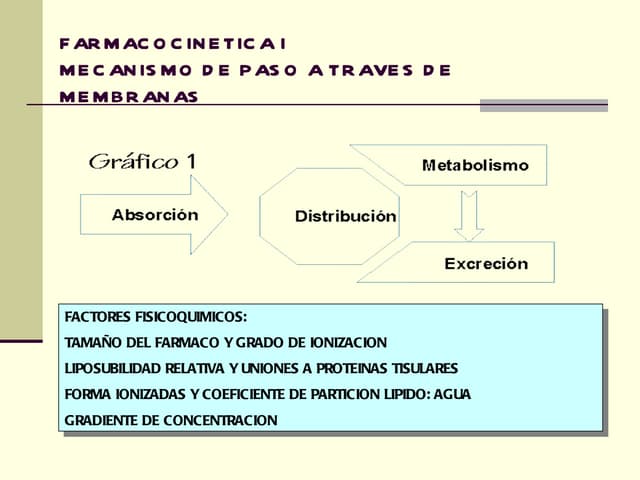 3 farmacocinetica i_membrana
