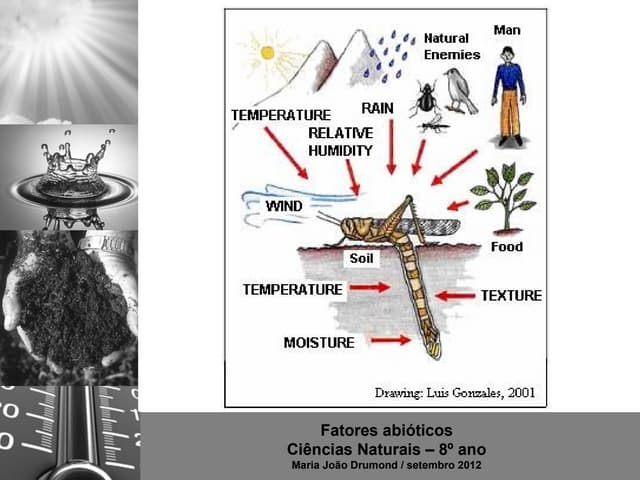 3 fatores abioticos-intro