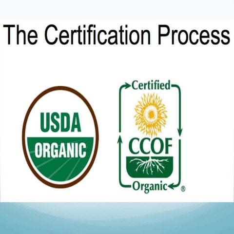 Organic Certification Process