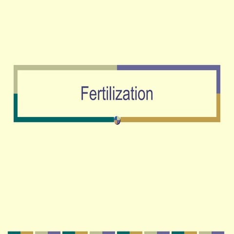 Fertilization process | PPTX