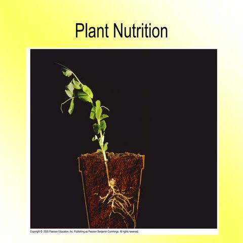 Plant Nutrition and Nutrition Deficiency