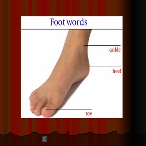 3  foot words
