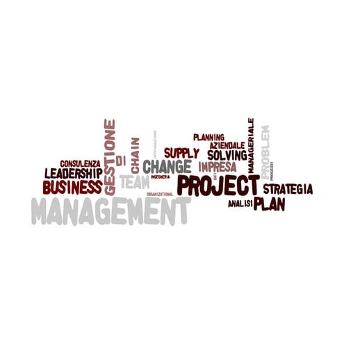 Word Cloud Competenze Felice Ragone | PDF