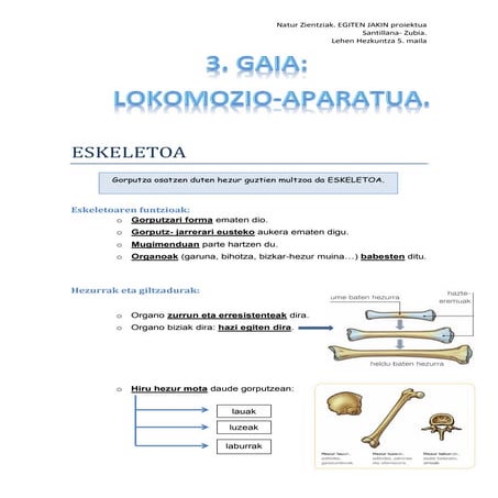 3 gaia lokomozio aparatua